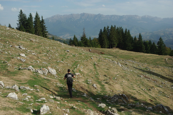 61-Piatra-Craiului
