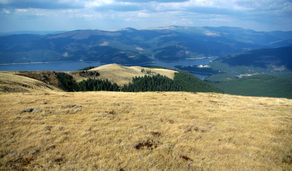 63-Latoritei